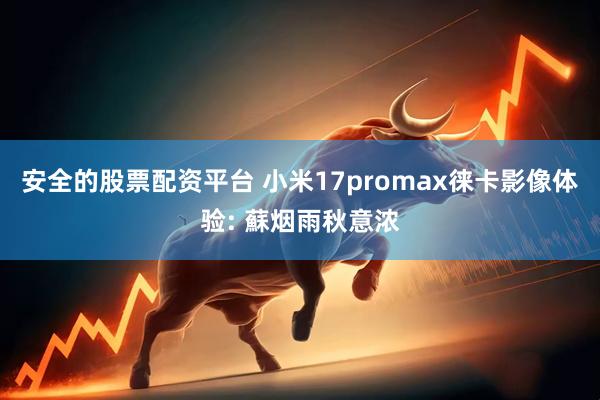 安全的股票配资平台 小米17promax徕卡影像体验: 蘇烟雨秋意浓